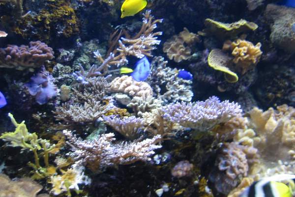 121-2187_img.jpg